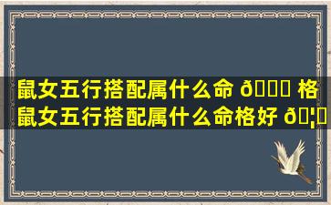 鼠女五行搭配属什么命 🍀 格「鼠女五行搭配属什么命格好 🦟 」